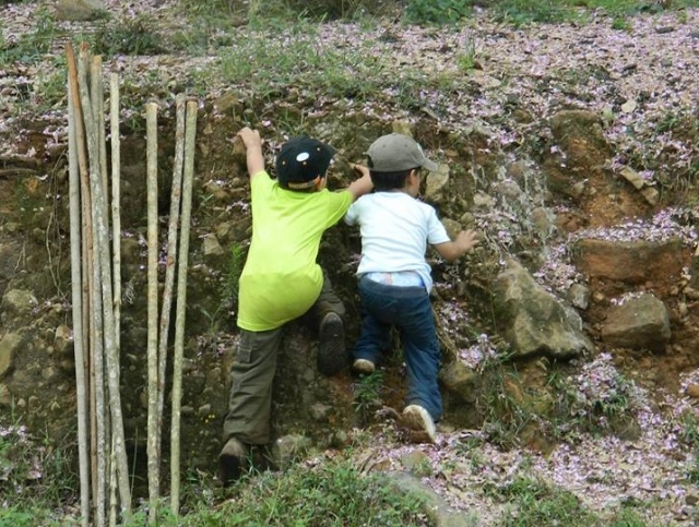  Anche i più piccoli scalano 